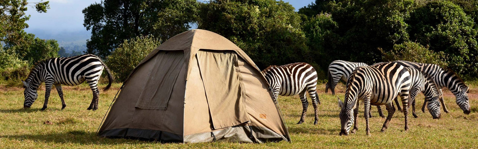 tanzania budget safari options